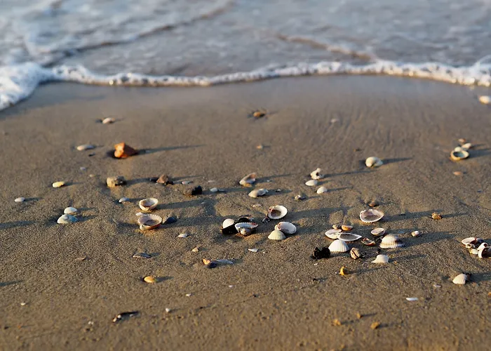 Modern Flat With Terrace-beahost Бібіоне